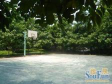 溯源阁 3室2厅 南