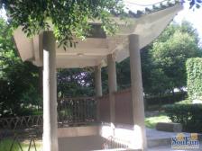 正看九龙湖 龙湖香樟林 视野很赞 全采光 通风效果很好