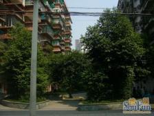 鱼洞 黄溪口三房61万