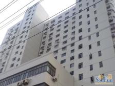 南看黄浦江,北看三件套