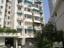 曹家渡·金家巷·1室·1厅