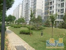 龙华·狮城花苑·2室·1厅