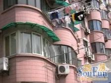 ?????准电梯 65㎡露台 阳光房 精装修 视野开阔