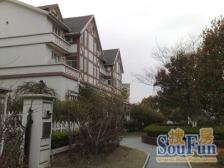 联排别墅,客厅朝南,环境优美,精装修,精装好房