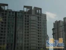 边套全明通风凉爽低总价电梯两房