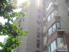 老静安江宁路+电梯房+视野没有遮挡的一房