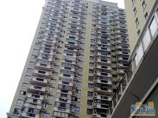 雅庐苑 2室2厅 南 北