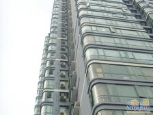 双轨道陆家浜路8/9号线2号出口20米 双南景观双阳台