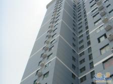 黄浦区 双轨地铁口 位置极佳 双南双阳台 全落地采光玻璃