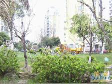 电梯大三房两卫,户型正气 诚意出售 采光好 近地铁