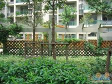 东海园 1室1厅 南