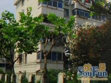 户型方正,双南全明,徐汇华泾必买房