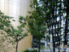 静教院,楼层高,采光视野无遮挡,地段好