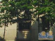 户型方正,双南全明,徐汇华泾必买房