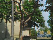 近地铁,一梯两户,全明设计,采光充足,配套齐全