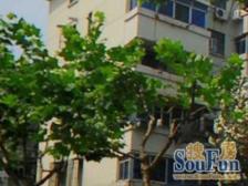 华泾·华泾四村·1室·1厅