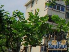 华泾·华泾四村·1室·1厅