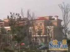 绿地香颂(奉贤)(公寓) 1室1厅 南