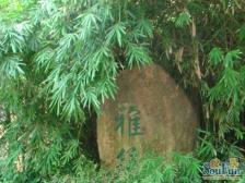 静安雅筑 5室2厅 南