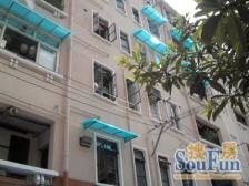 延平路481弄公房2室南朝向455.00万元/套出售