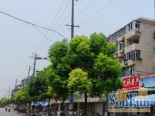 静安中环边+中楼层+精装+单价低+出行便利+环境好+实惠