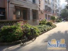 彭浦·阳曲路50弄·1室·1厅