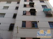 彭浦新村+次顶楼+电梯加装+采光视野好