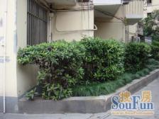 房子满五年 双南户型 楼层好 视野采光佳 配套齐全