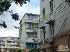 控江·安图新村·1室·0厅