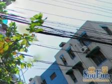 新上95年一梯2户,带25平院子,3房朝南,全明随时看房