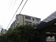 买一层送一层超大空间感 学区未用