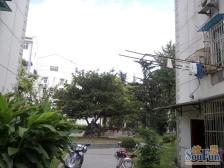 全明向采光贼亮 诚售有钥匙好看房