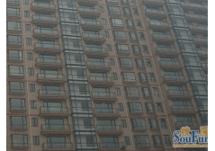 下楼即达世纪公园品质小区稀缺小户型刷卡到户