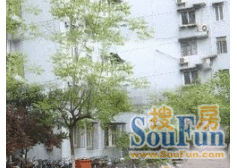 自住精装修+双南全明户型+近7号线地铁+内环旁