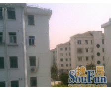 由由五村 2室1厅 南