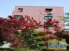 宜山路701弄 2室1厅 南