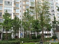电梯中层,户型好太平洋生活广场隔壁生活方便医院旁