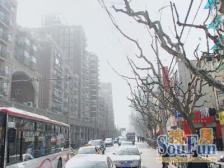 适老自住装修 低楼层 精装修1房1厅 一门关 随时看房拎包住