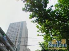 内环内 近徐家汇 新出中层两房 产权满五年 方便看房