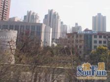 新海小区3房房型 南北通 楼层好
