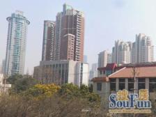 新海小区中间区域,楼层好的新楼栋91年。