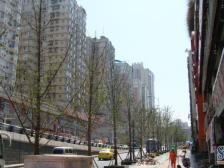 加州新牌坊 龙华大道二房59万