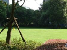 龙湖水晶郦城静苑 3室2厅 东南