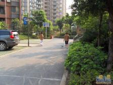 新溉路 天工太阳岛二房103万