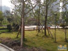 新溉路 天工太阳岛二房85万