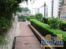 稀有精装老洋房户户带阳台 带150平大花园 居家安静