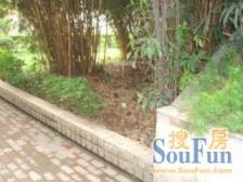 四房洋房 一楼带院30平诚心出售 随时看房