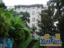 稀有精装老洋房户户带阳台 带150平大花园 居家安静