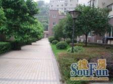 龙溪镇 富贵花园四房126.69万