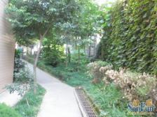 急售房,捡漏房,东衡龙都 3房 欢迎直接来电